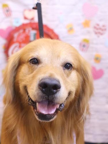 20230919レオくん